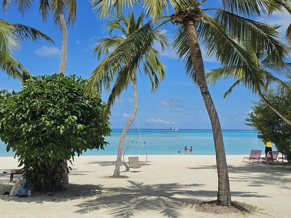 Où pratiquer le snorkeling au milieu des raies manta à Hawaii ?
