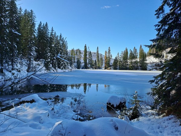 Quels sont les meilleurs itinéraires pour une randonnée en Antarctique?
